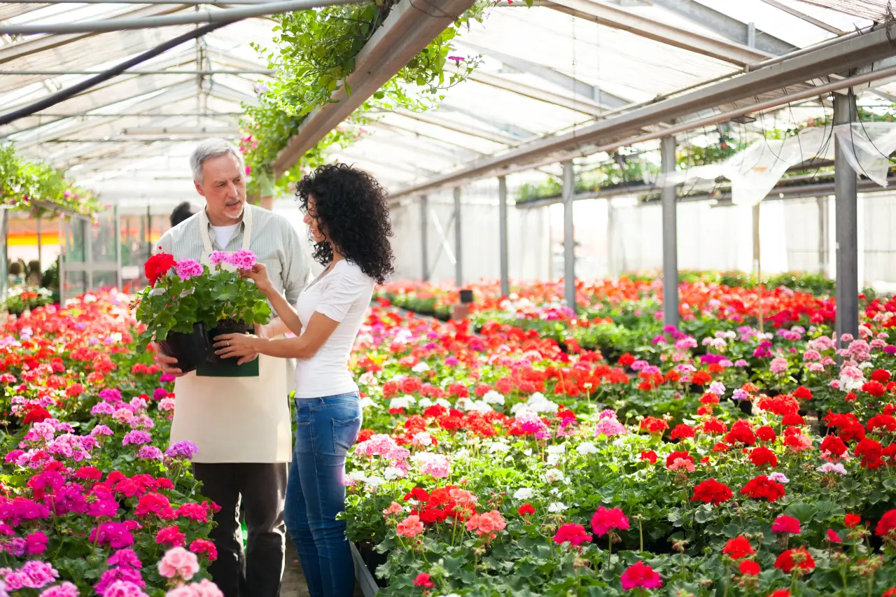 annuals