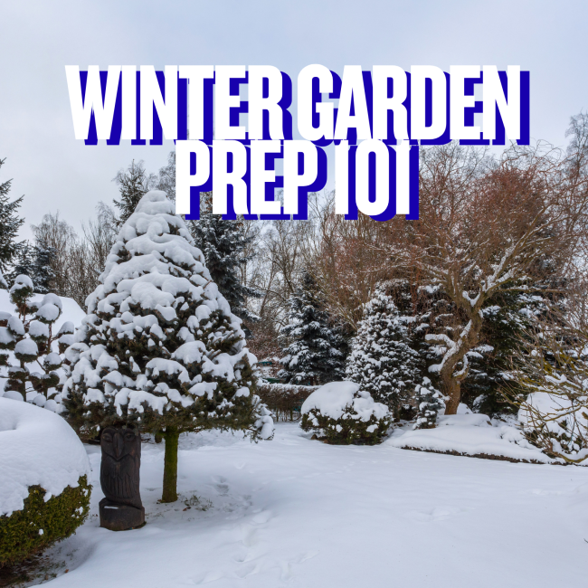 winter garden Prep 101
